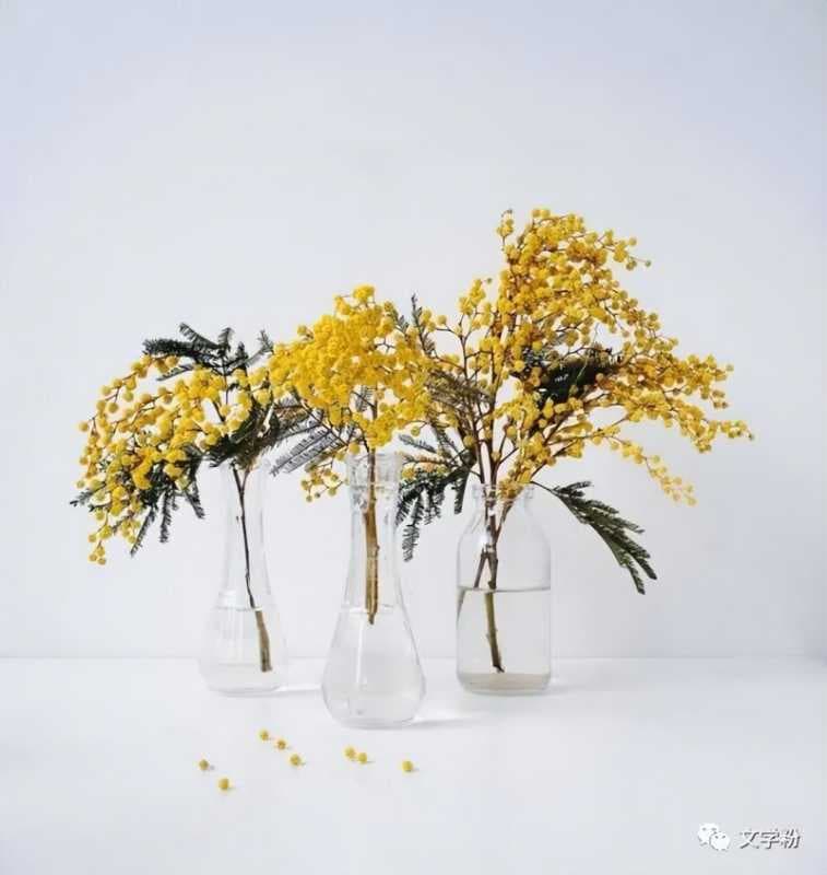 抖音简介怎么写吸粉（容易涨粉的个人介绍推荐）