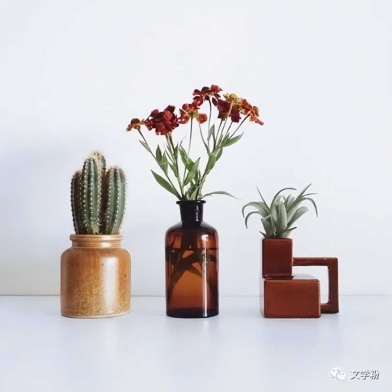 抖音简介怎么写吸粉（容易涨粉的个人介绍推荐）