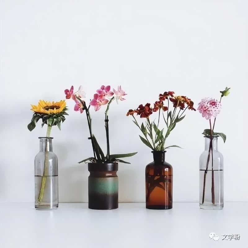 抖音简介怎么写吸粉（容易涨粉的个人介绍推荐）