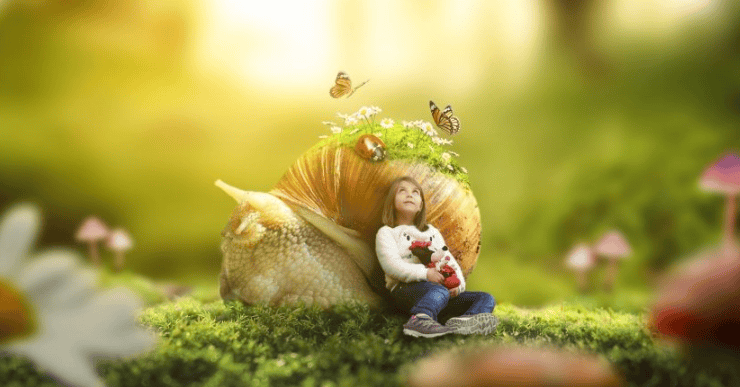 猎豹现在跑衣柜成本需要多少？猎豹上白酒怎么做推广？