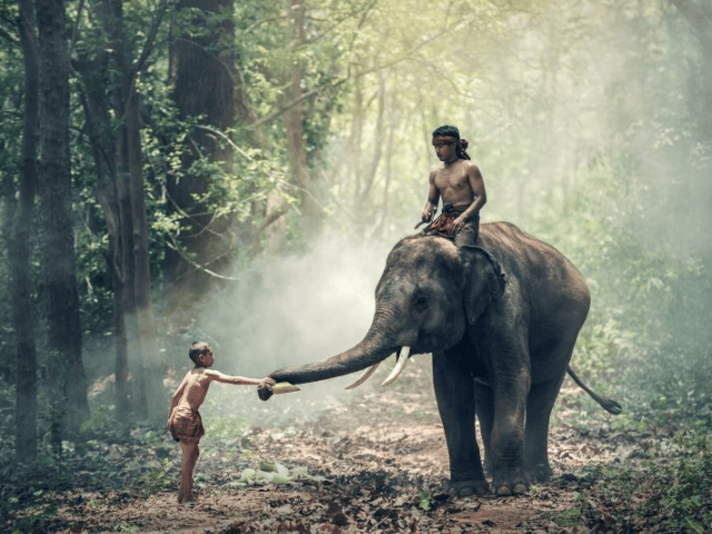 高德现在跑招商加盟返点多少？高德上跑电脑广告设计返点多少？