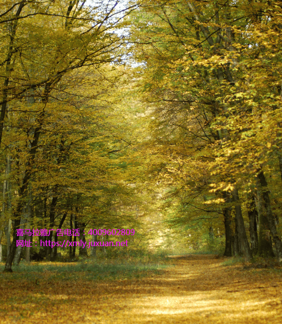 喜马拉雅开户客服不如说是社会需求的爆炸式增长