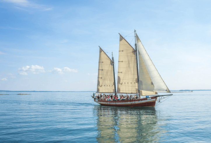 witter跑旅游行业成本高不高？Twitter开户怎么做?