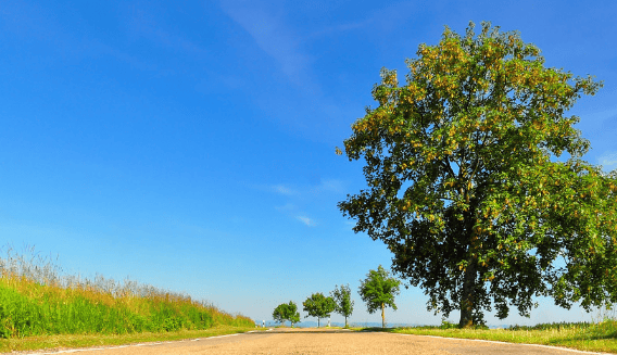 vivo广告怎么投放?广告投放电话是多少?