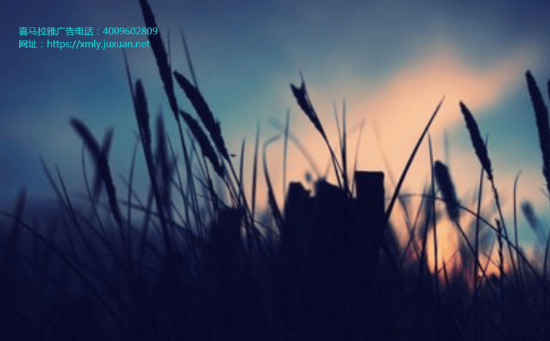 喜马拉雅代运营当时滴滴在出租车市场的规模太小