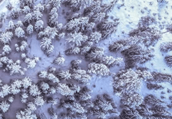 抖音加配乐就没有原声了（抖音录制歌曲视频教程）