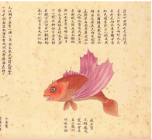 哔哩哔哩广告平台:昨晚,B站埋下了海量彩蛋