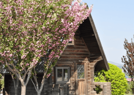 芒果TV开户怎么投放？芒果TV视频广告客服。