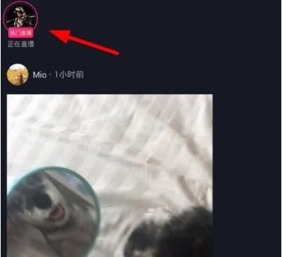 抖音不开播怎么看粉丝团成员(主播看粉丝团成员的办法)