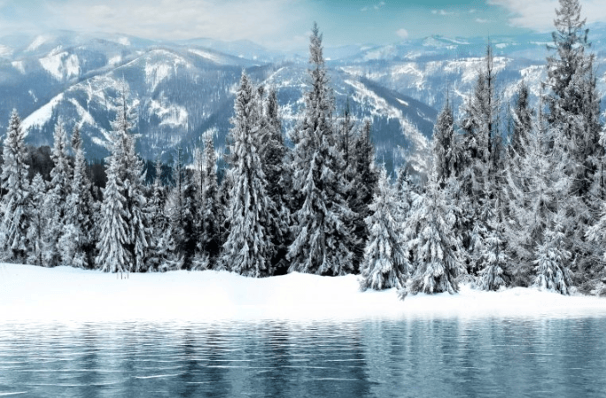 在知乎上投放高广告找谁?知乎现在跑填料效果怎么样?