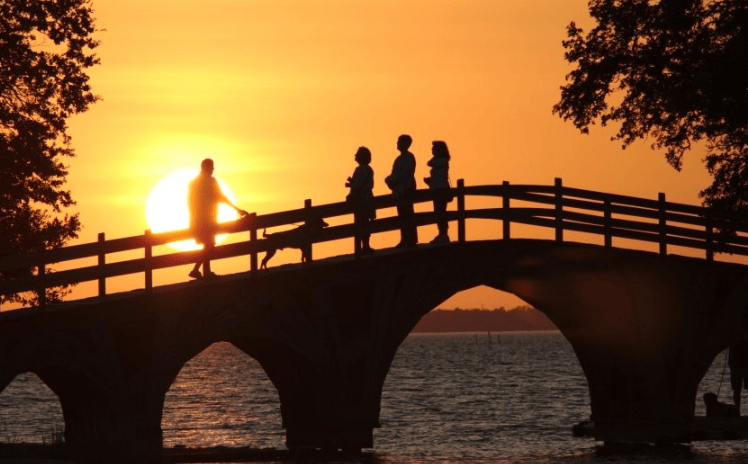 东方现在跑保健品成本需要多少钱?东方头条广告登录入口在哪里?