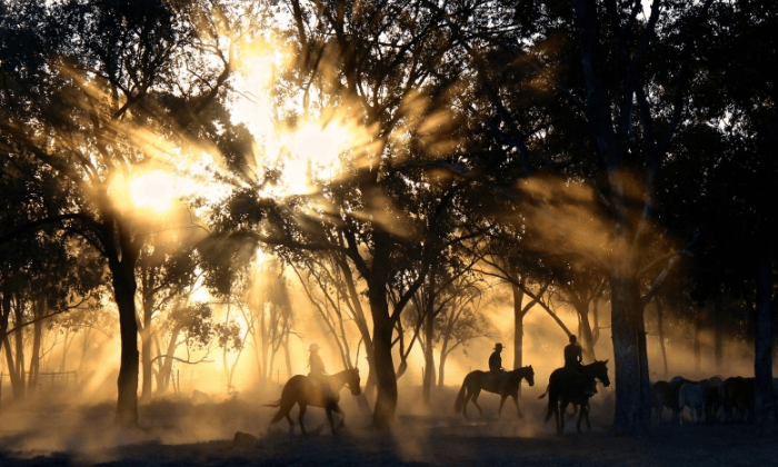 魅族商店开户客服电话是多少？魅族推广电话是多少？