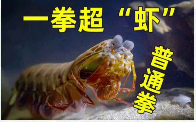 家电3C品牌必看!要这样和UP主一起整活儿