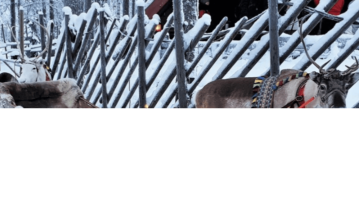 知乎信息流广告流程有哪些？知乎开户价格一般是多少钱呢？