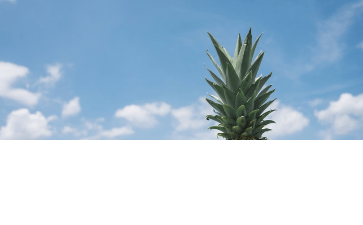 东方头条现在跑减肥效果好吗?东方头条信息流广告竞价怎么收费?