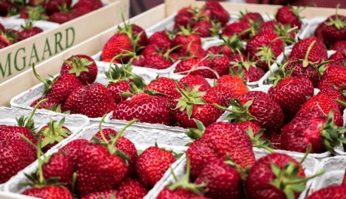 芒果TV视频广告流程有哪些?芒果TV视频现在跑农业成本需要多少钱呢？