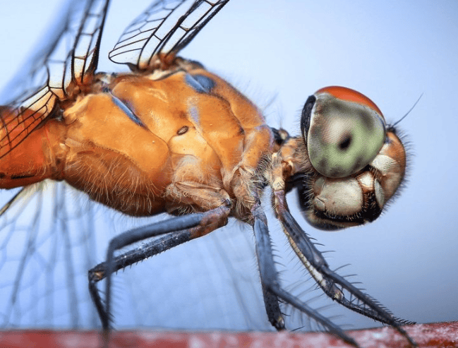 支付宝广告怎么做?支付宝大牌直降资源位如何投放?