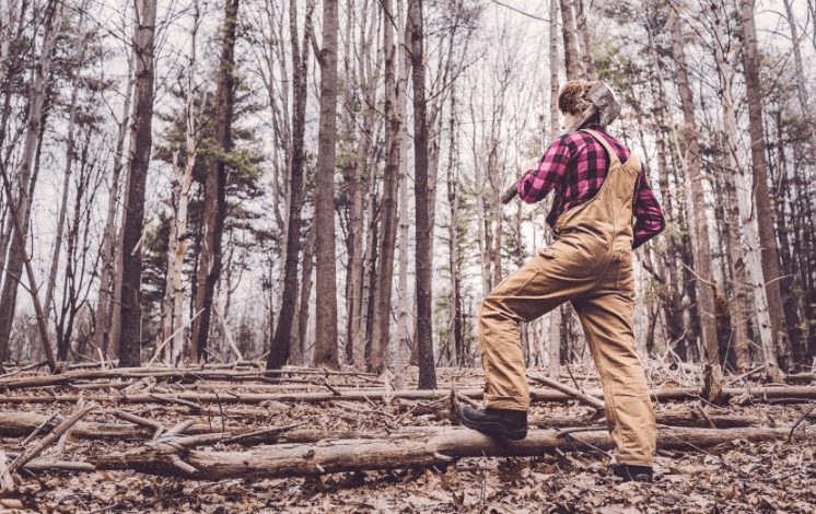 猎豹现在投放广告效果怎么样?猎豹跑网络技术有户吗?
