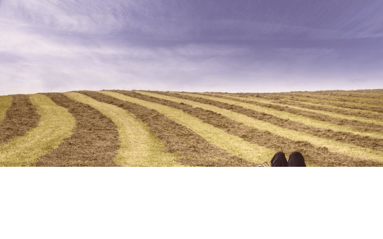 猎豹现在跑管线测量返点多少?猎豹跑包装印刷返点多少?