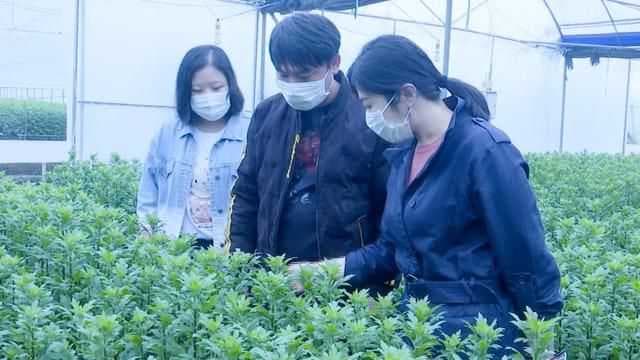 龙文:不负春光不误农时 气象助力春耕生产