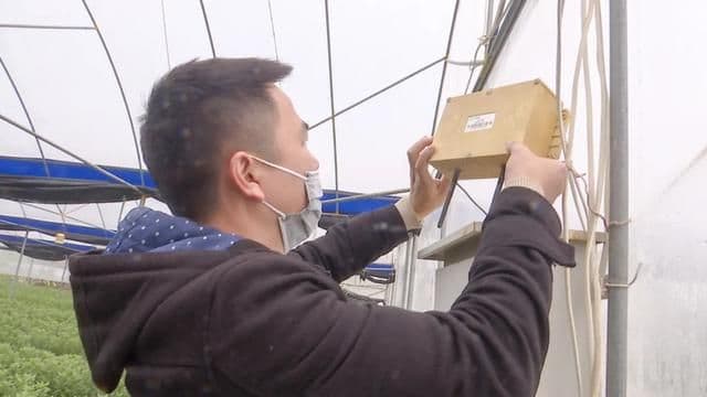 龙文：不负春光不误农时 气象助力春耕生产