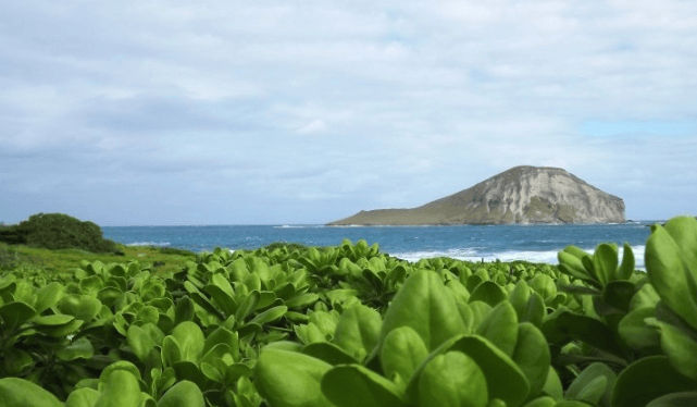 喜马拉雅广告客服电话是多少?喜马拉雅广告怎么做?