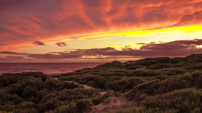 喜马拉雅广告政策有哪些?喜马拉雅现在跑加粉效果怎么样?