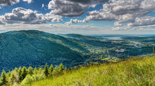 东方头条包装广告展现形式有哪些？东方头条软件推广开户有什么政策？