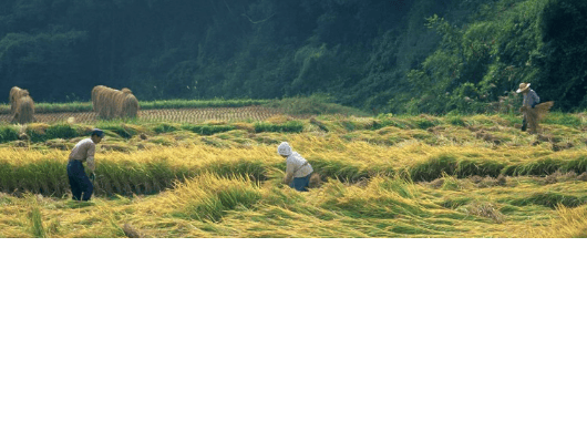 旅游行业在小米商店推广开户需要多少钱?