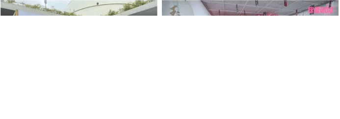 优酷视频《玉楼春》如何与国风携手破圈?