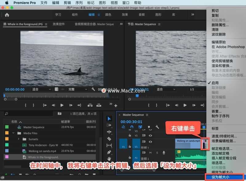 pr如何放大视频画面尺寸（pr剪辑视频把视频放大的方式）