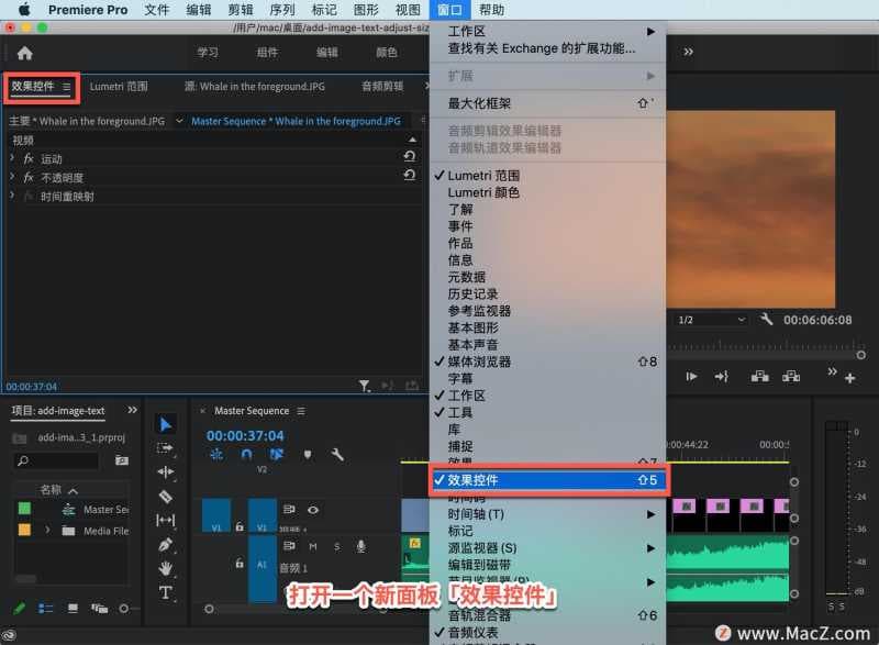 pr如何放大视频画面尺寸（pr剪辑视频把视频放大的方式）