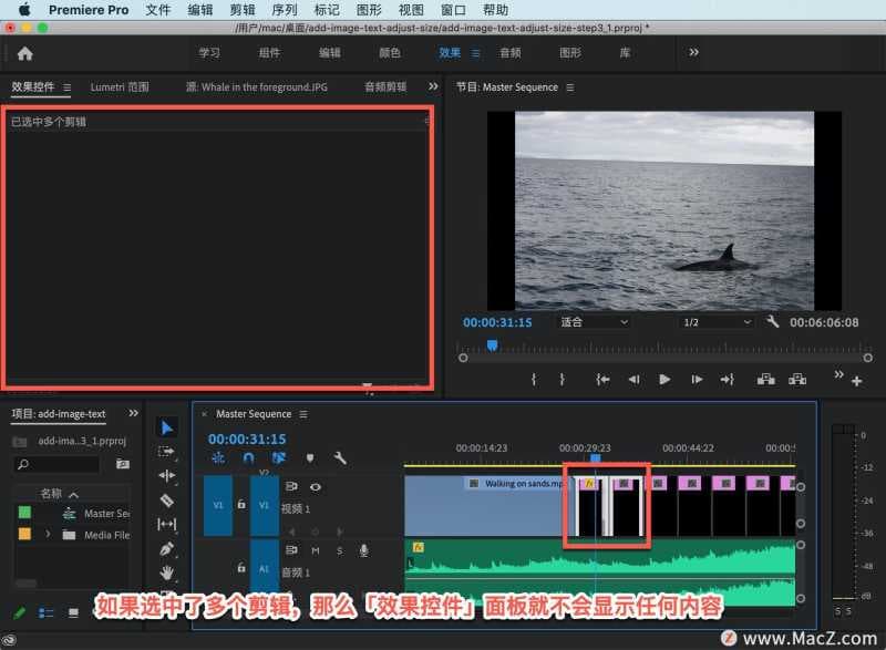 pr如何放大视频画面尺寸（pr剪辑视频把视频放大的方式）