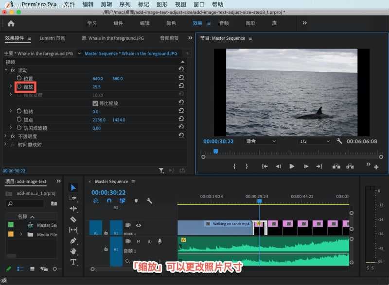 pr如何放大视频画面尺寸（pr剪辑视频把视频放大的方式）