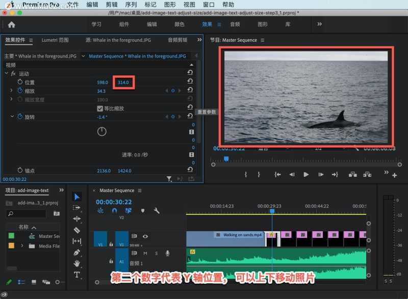 pr如何放大视频画面尺寸（pr剪辑视频把视频放大的方式）
