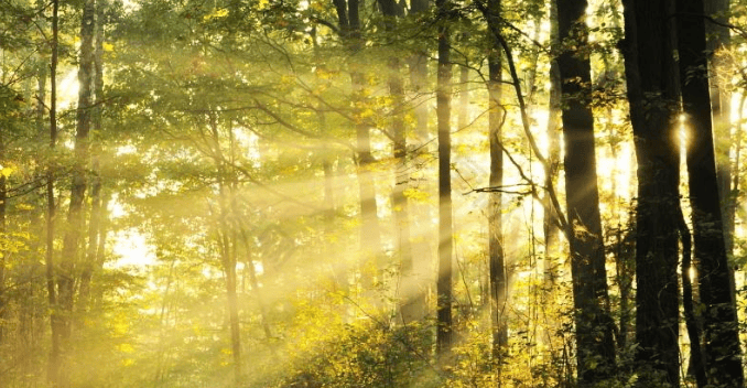 百度 360 搜狗 神马推广开户费用分别是多少？