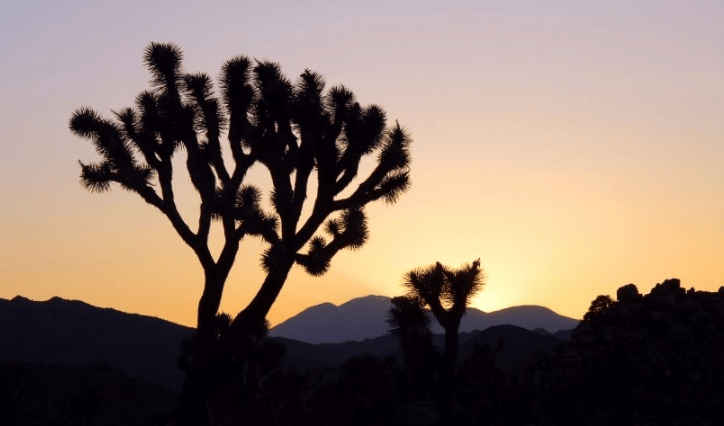 雅虎信息流广告怎么做？雅虎现在跑广点通效果如何？