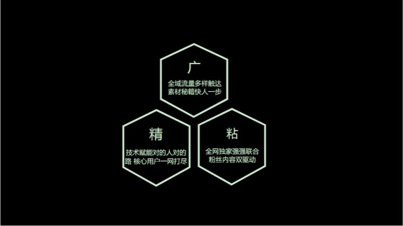 《快手小说行业全域营销白皮书2020年H1版》 | 快手广告平台推广