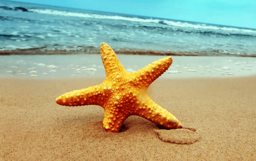 优酷开户怎么收费？广告流程。