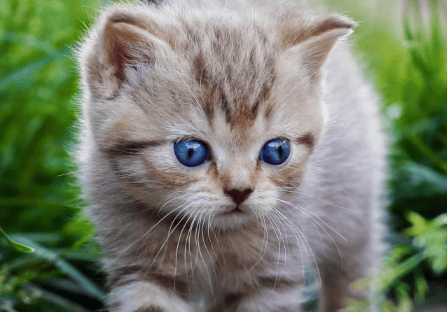 优酷怎么推广？开户价格开户价格。