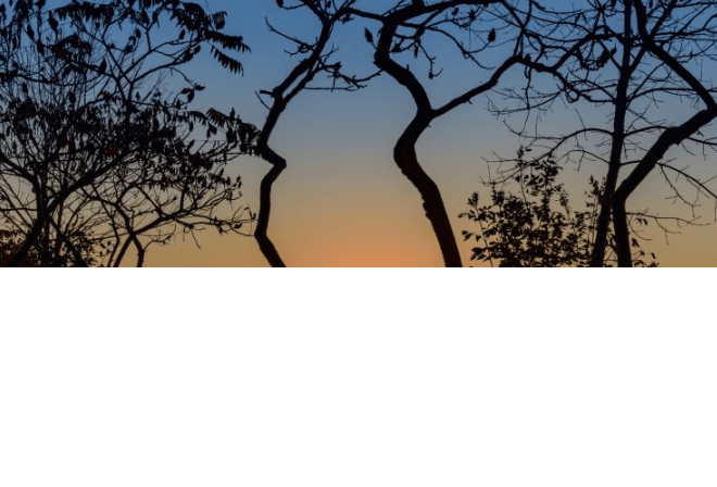 探探广告账户开通需要多少钱呢？你知道探探开户费用一般是多少吗？