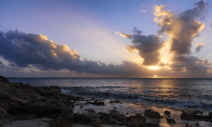 探探信息流广告投放效果怎么样？探探现在开户价格是多少钱呢?