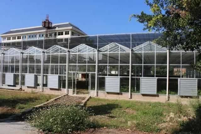 WOW~龙文这个国家闽台特色作物种质资源圃通过竣工验收！