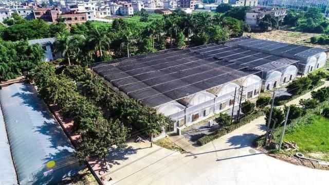 WOW~龙文这个国家闽台特色作物种质资源圃通过竣工验收！