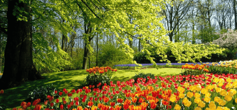 这样的美柚广告一点都不“搞笑”