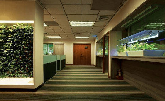 爱奇艺广告推广已成为流量数据领先信息流平台