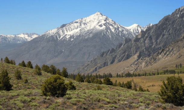 爱奇艺适合投放房地产广告吗？费用怎么算？