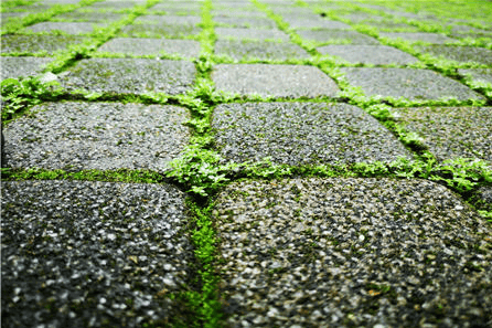 高高德地图投放广告平台联合未来交通报告!