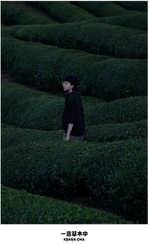 星品牌会客厅丨如何打造真正的DTC品牌? | 腾讯广告