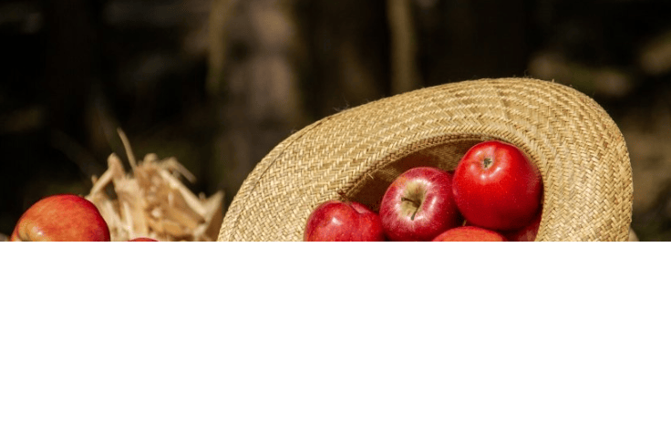 新浪信息流竞价多少钱？新浪信息流推广哪家值得信赖？